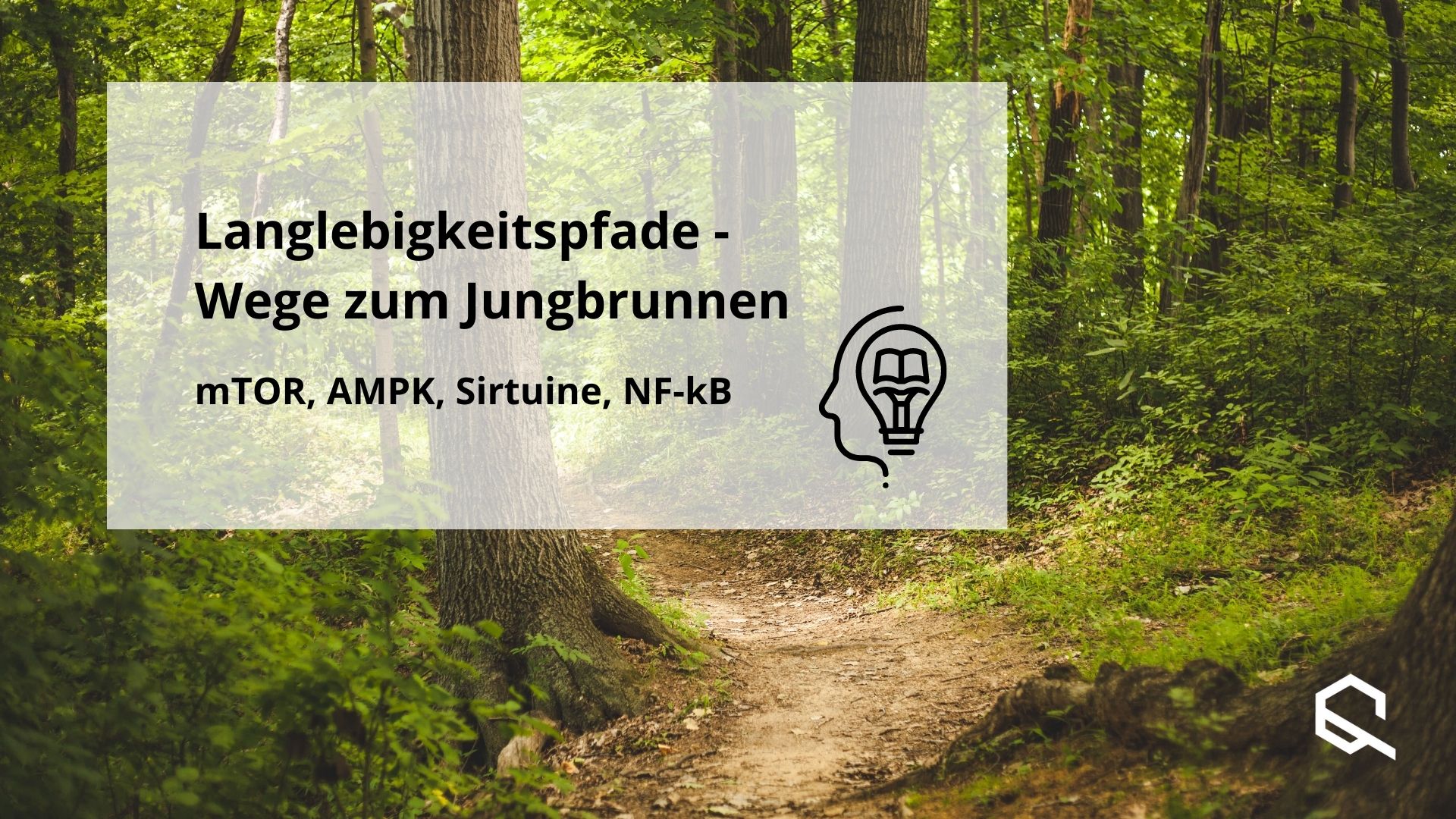 Langlebigkeit Pfade Artikelbild