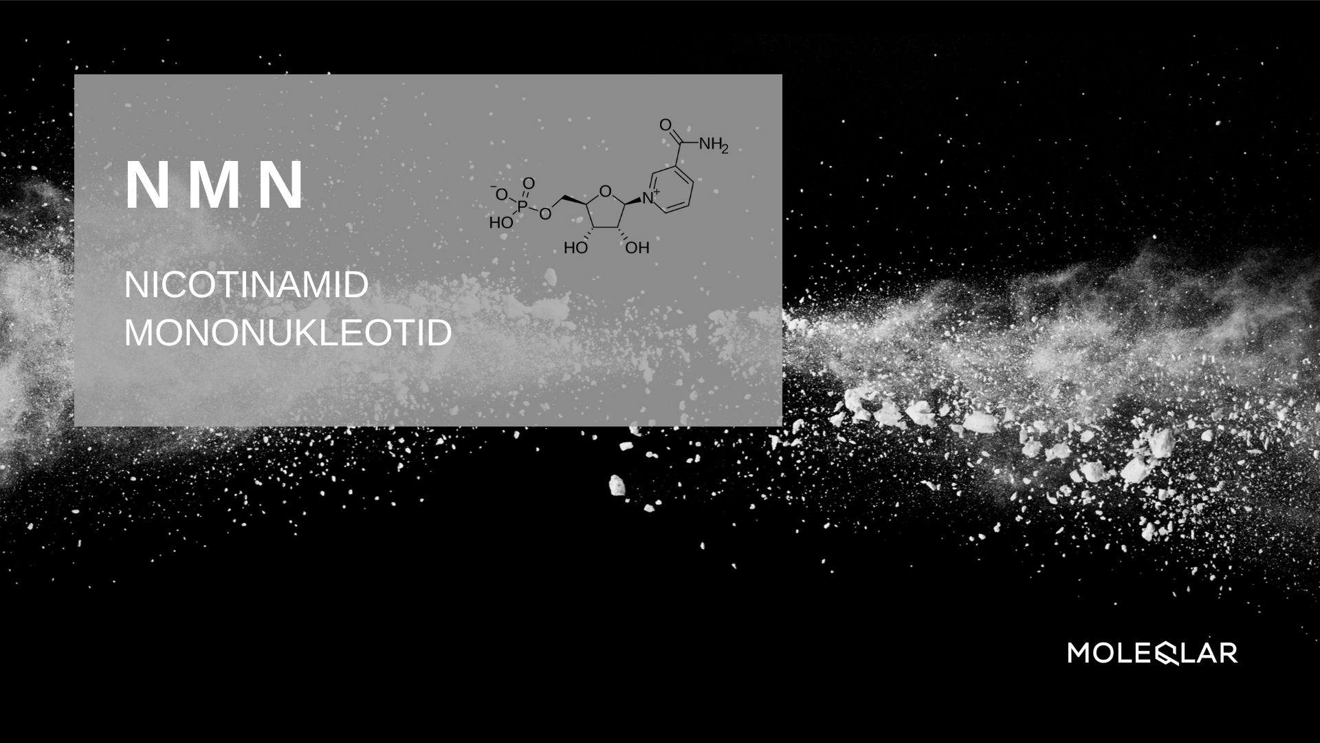 Wasist Nmn Artikelbild Wasist Nmn Artikelbild