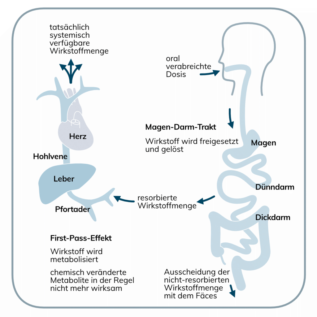 First Pass Effekt First Pass Effekt