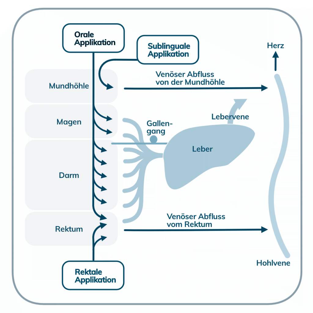 Absorptionswege Absorptionswege Mensch Oral Sublingual Rektal