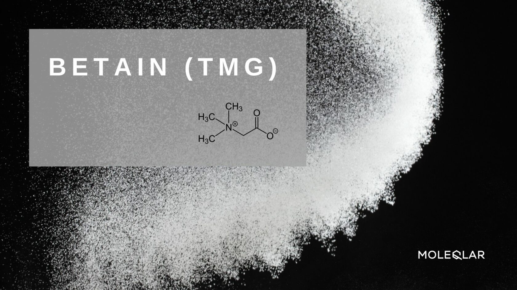 Wasist Betain Artikelbild