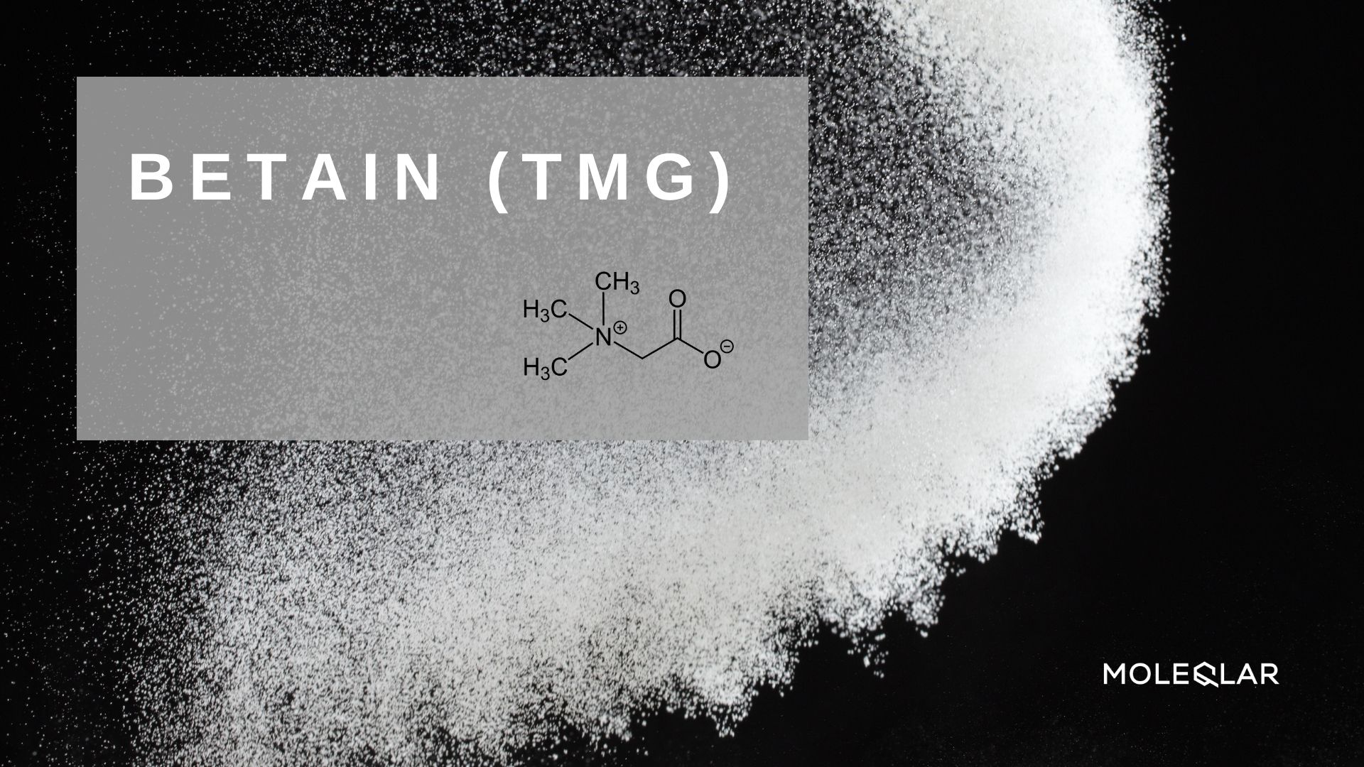 Wasist Betain Artikelbild