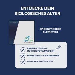 Epiage Epigenetisches Alter Messen Moleqlar