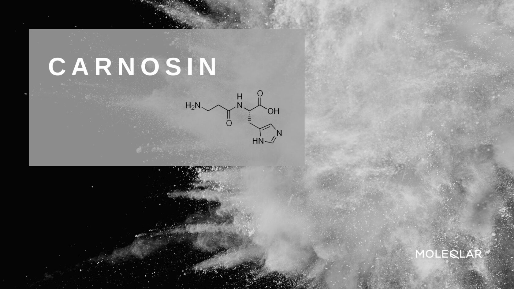 Wasist Carnosin Artikelbild