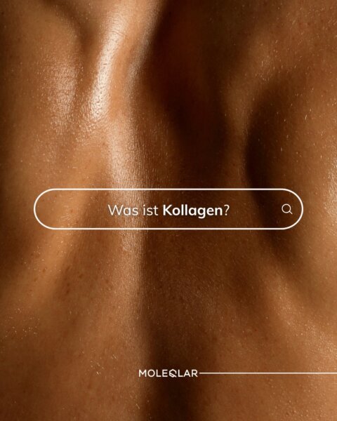 616307156 1501601154881543 287256523862731354 N