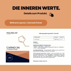 L Carnosin Pulver 6