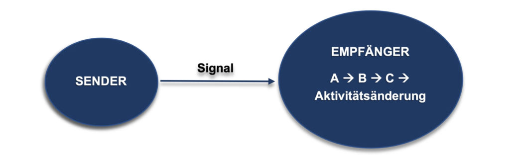 SchaubildLanglebigkeitspfade