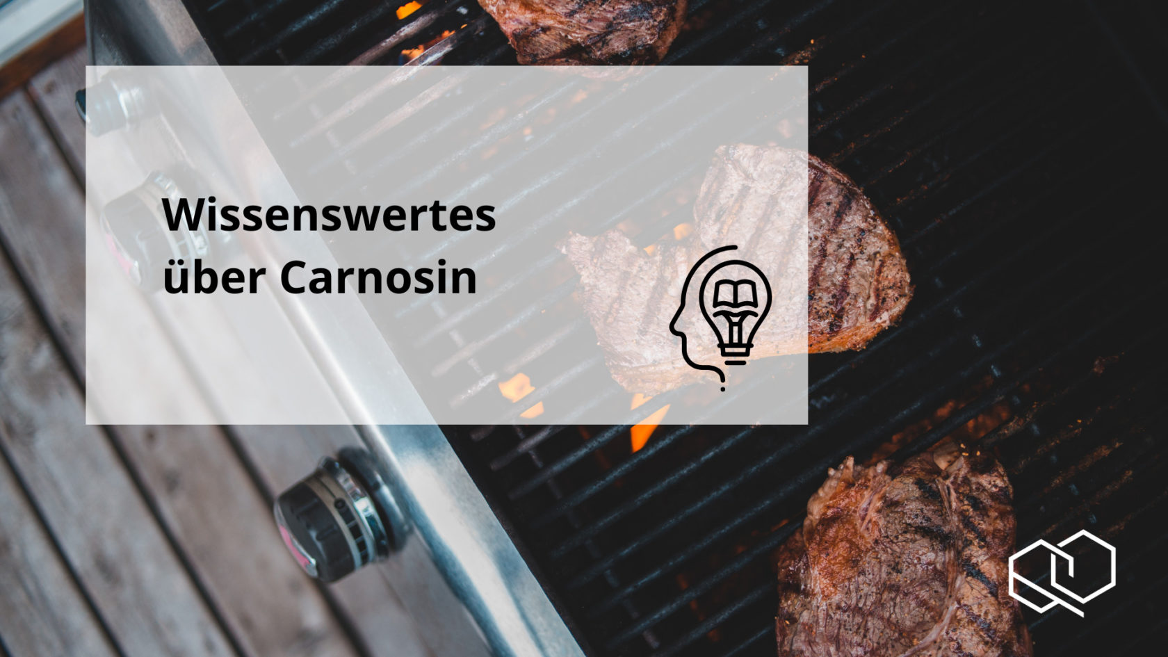 Carnosin Wissenswertes