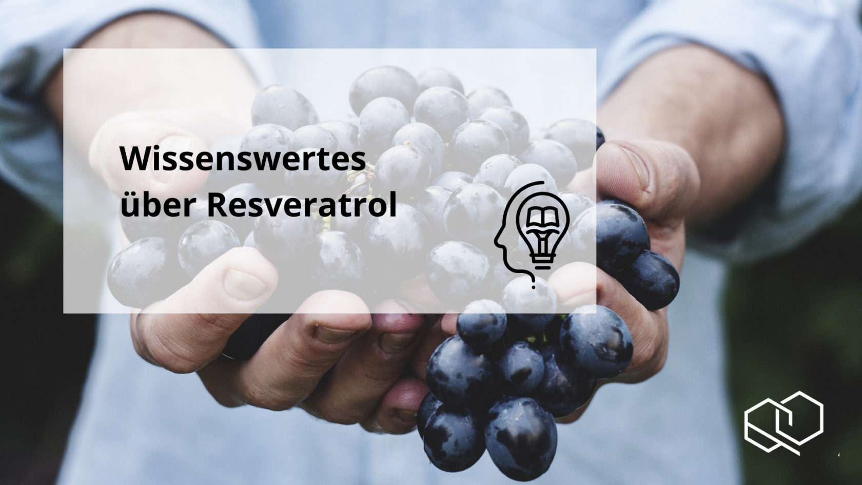 Resveratrol Wissenswertes