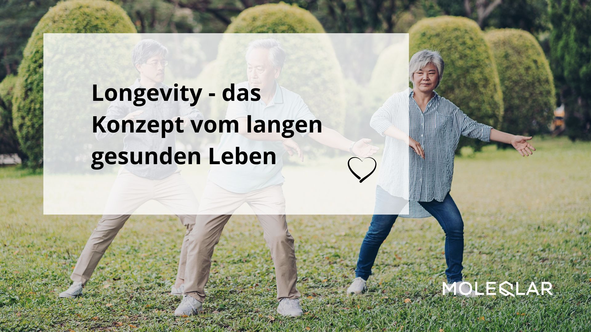 Was Ist Longevity Langlebigkeit Gesundheitserhaltung Moleqlar
