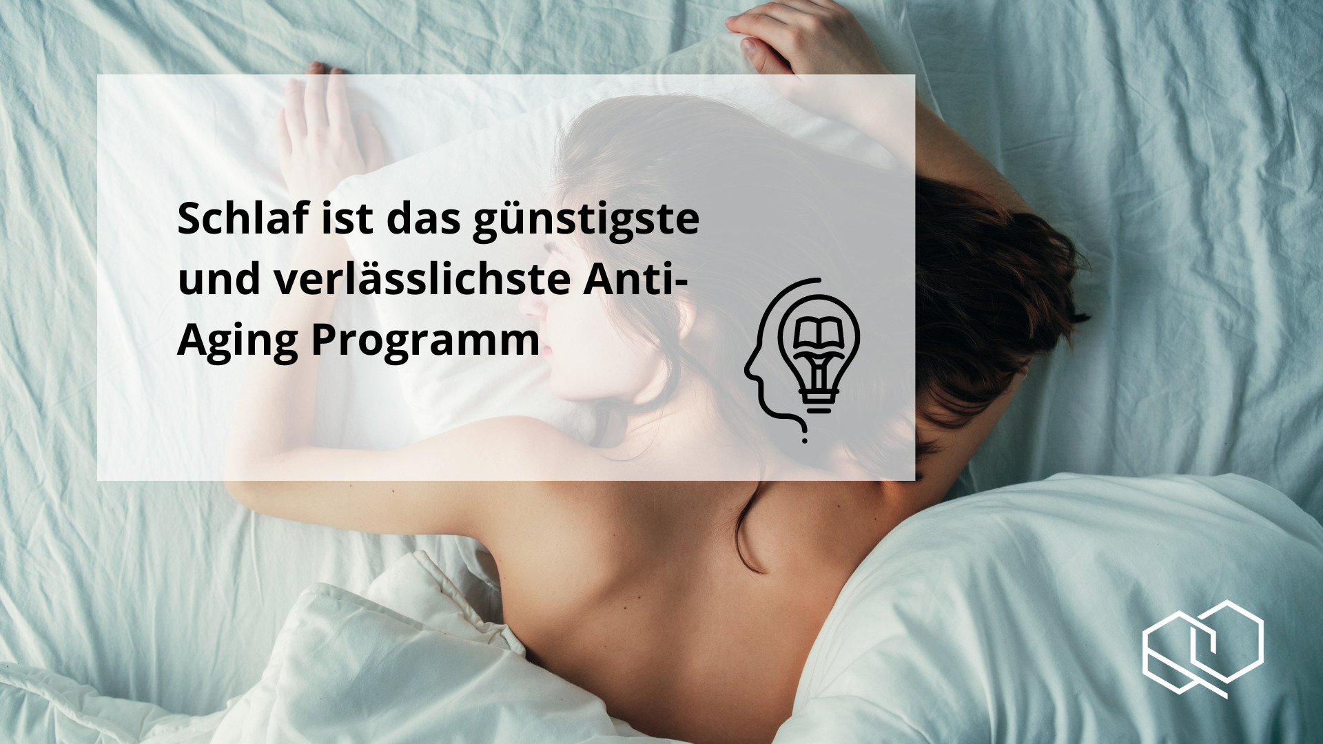 Wissen Schlaf Einführung