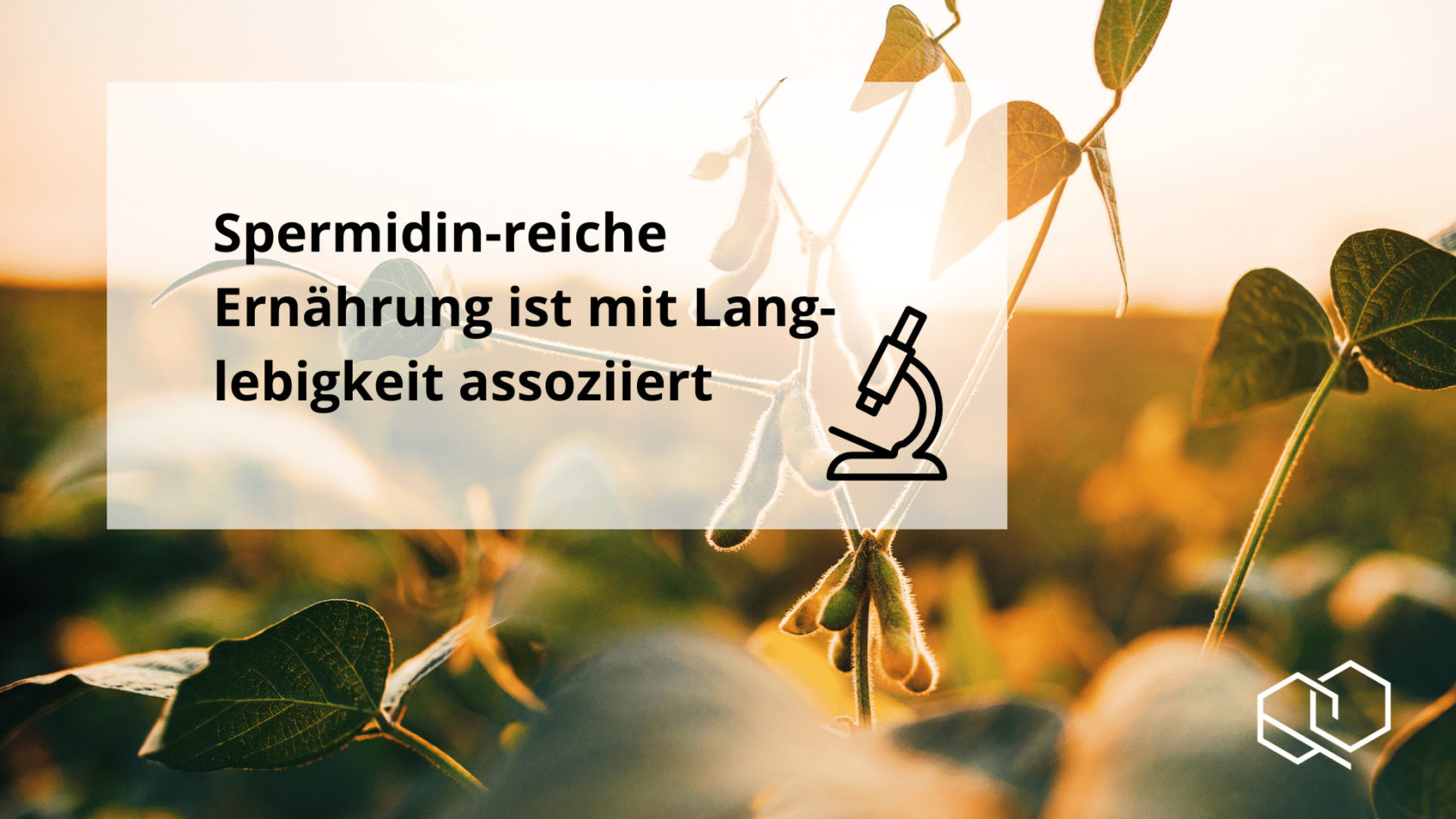 Wissen Spermidin Bruneckstudie