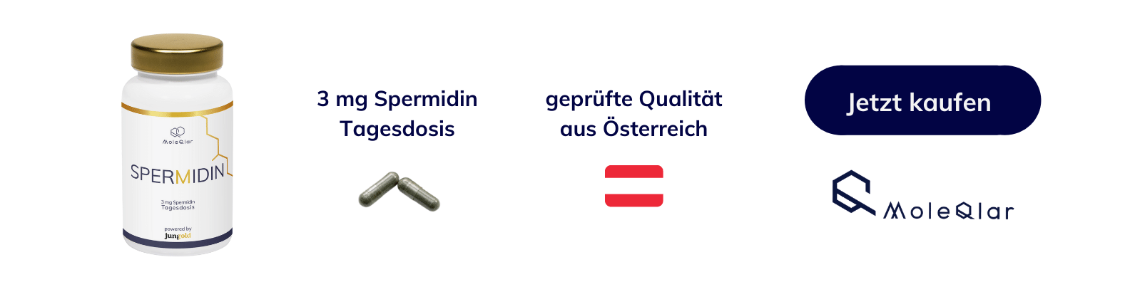 Banner Spermidin Newsletter1