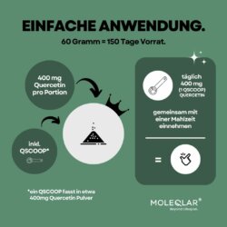 Quercetin Pulver Hochrein 3