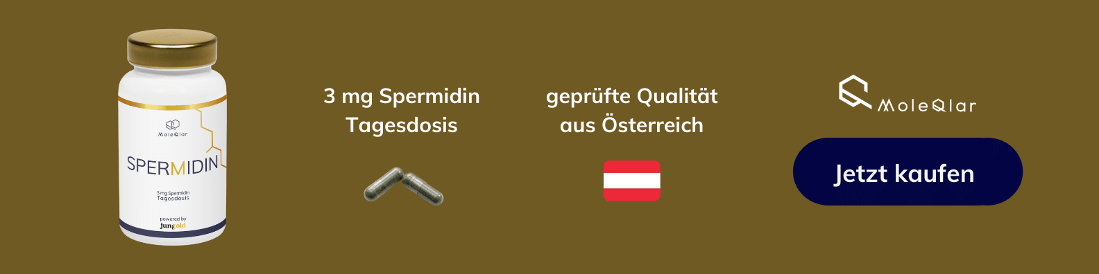 Banner Spermidin Gold