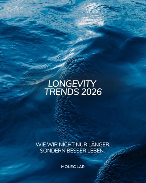 615945685 1502234524818206 1898516447793299050 N