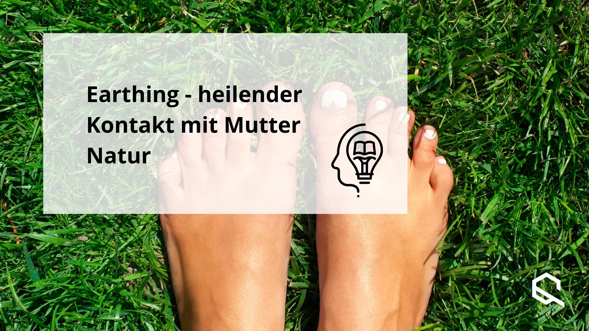 Earthing Artikelbild