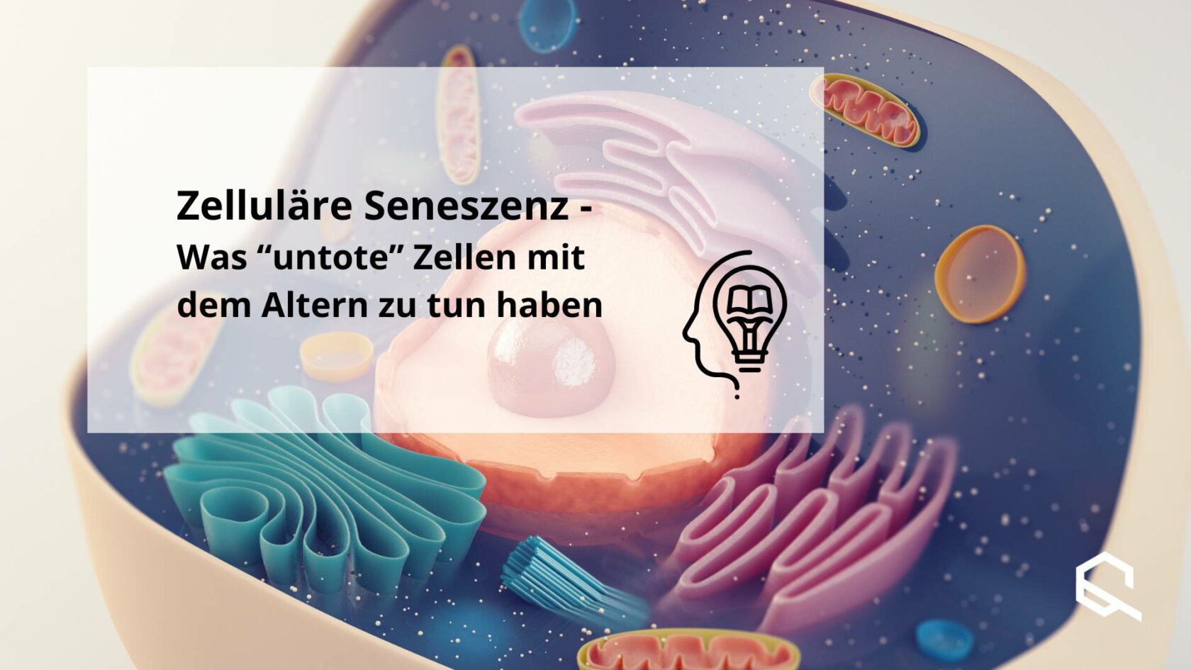 Seneszenz Senolytika Artikelbild