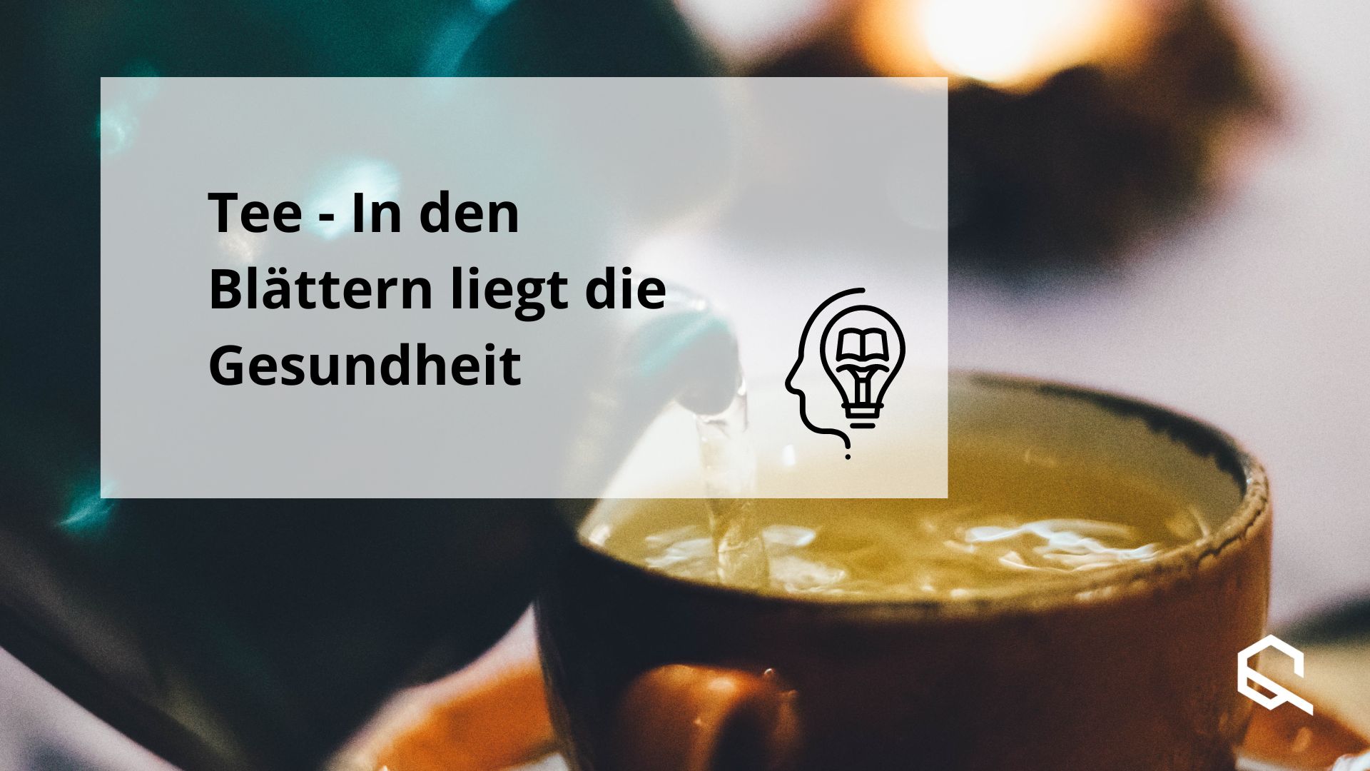 Tee Vielfalt Gesundheit Artikelbild