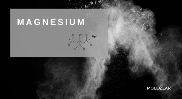 Magnesium Artikelbild