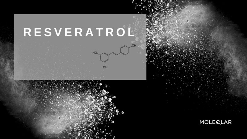 Wasist Resveratrol Artikelbild