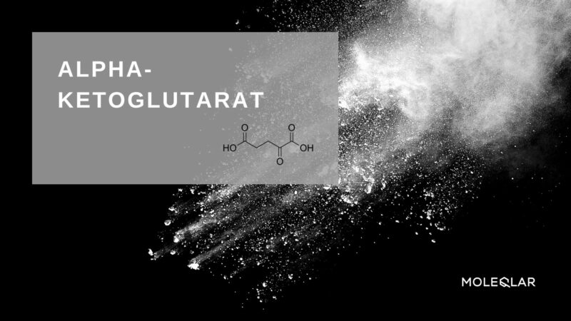 Calcium Alphaketoglutarat Artikelbild