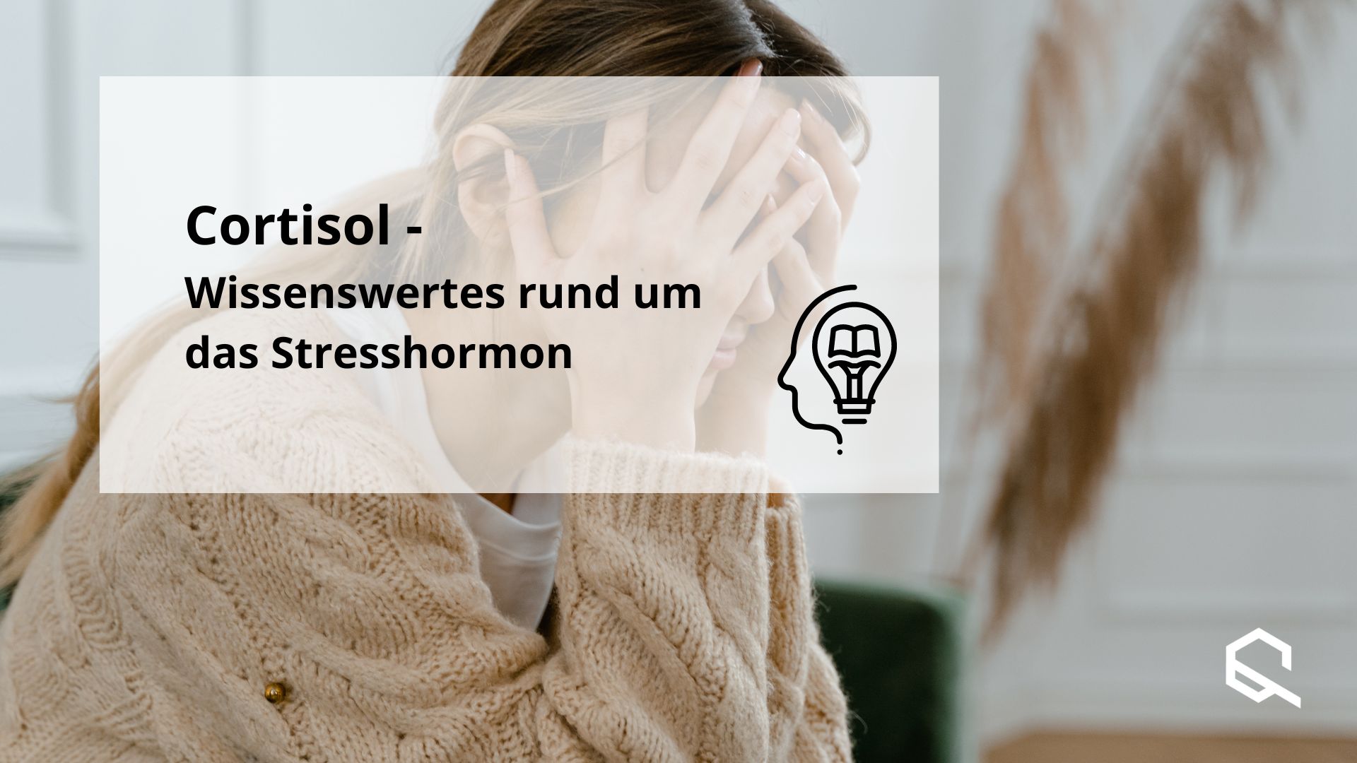 Cortisol Artikelbild Stresshormon