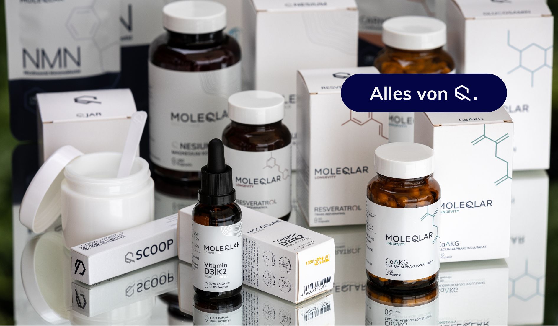 Banner Mailpoet Alleprodukte