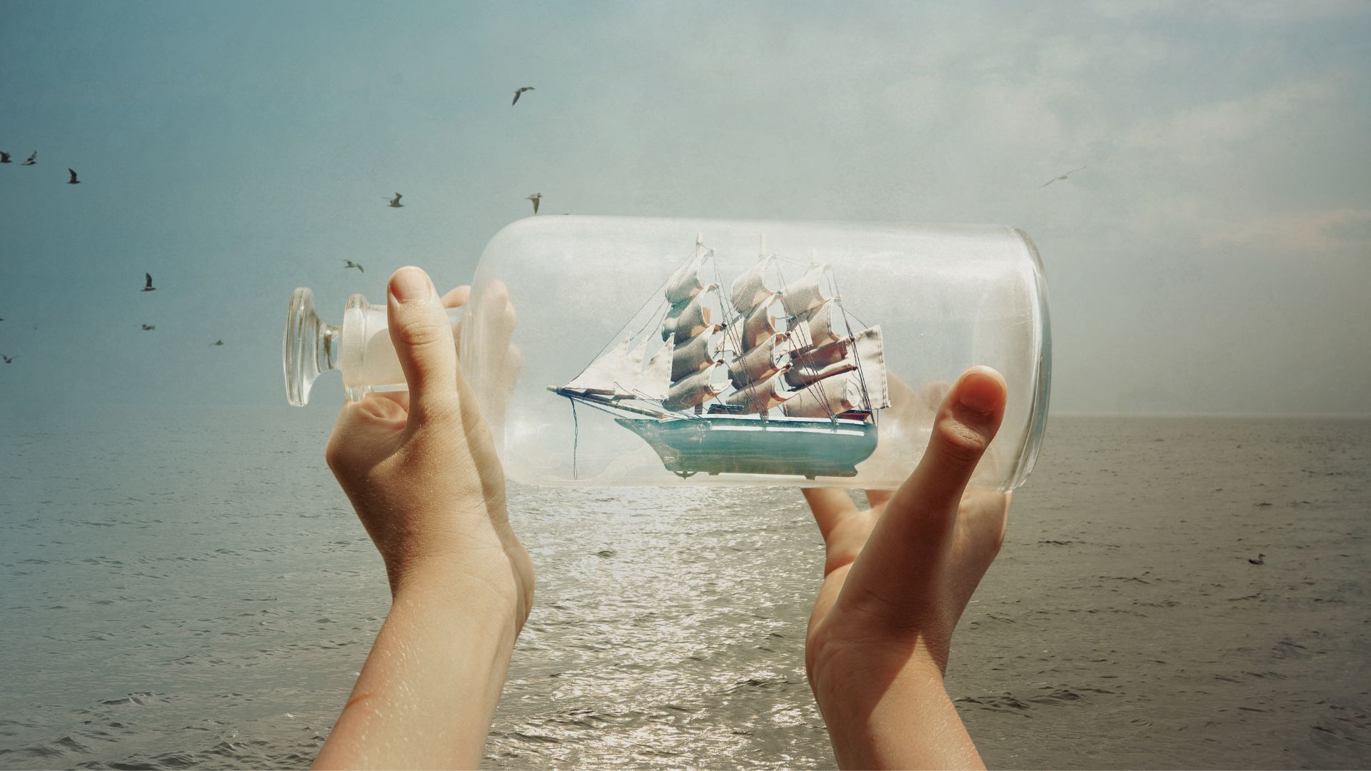 See Schiff Homöostase