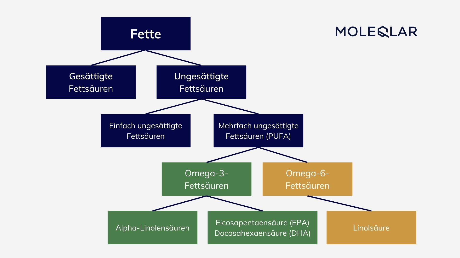 Flow Chart Fette Omega3