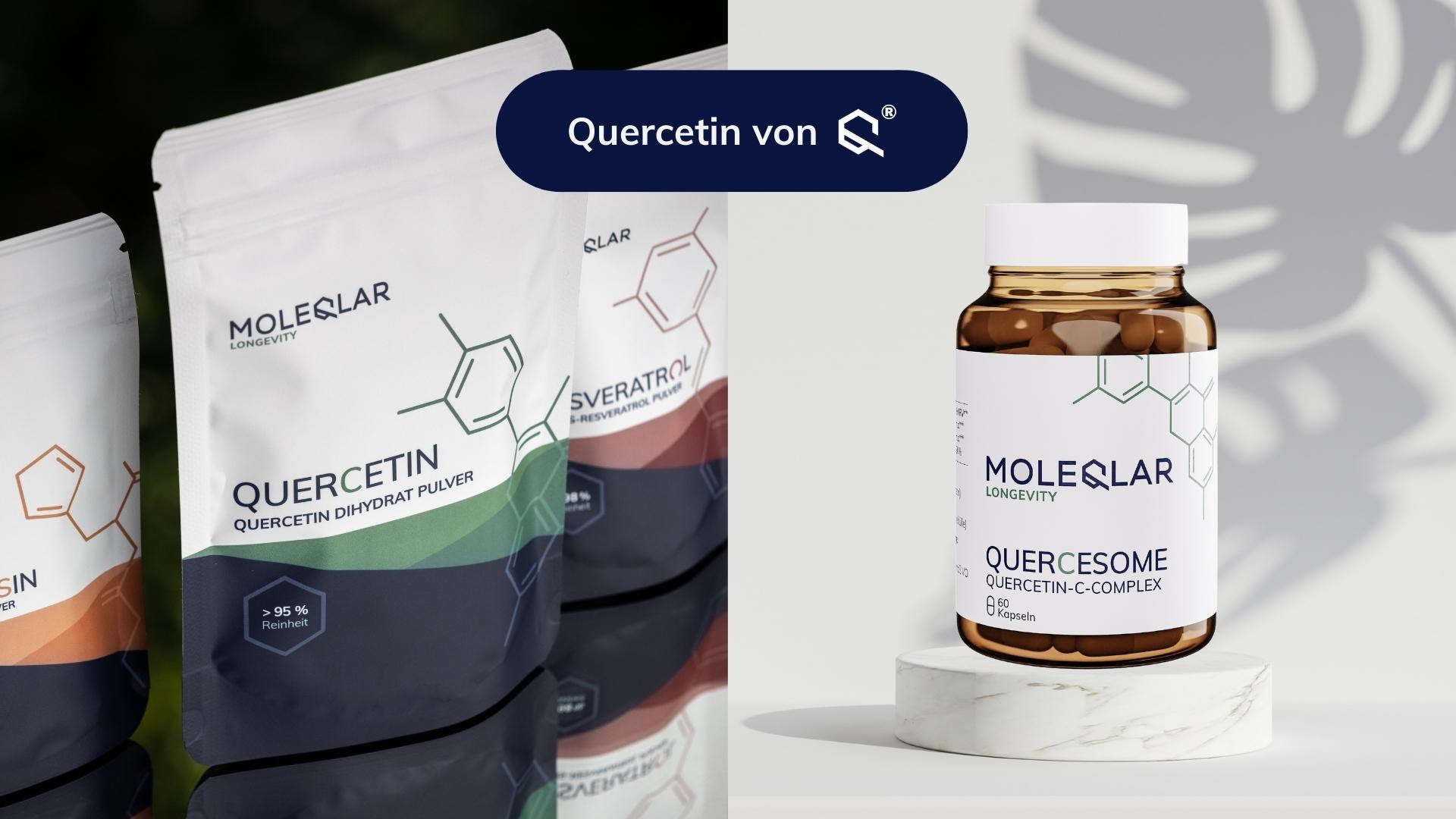 Quercesome und Quercetin Pulver von MoleQlar. Phospholipide verbessern die Bioverfügbarkeit von Quercetin Pulver drastisch.