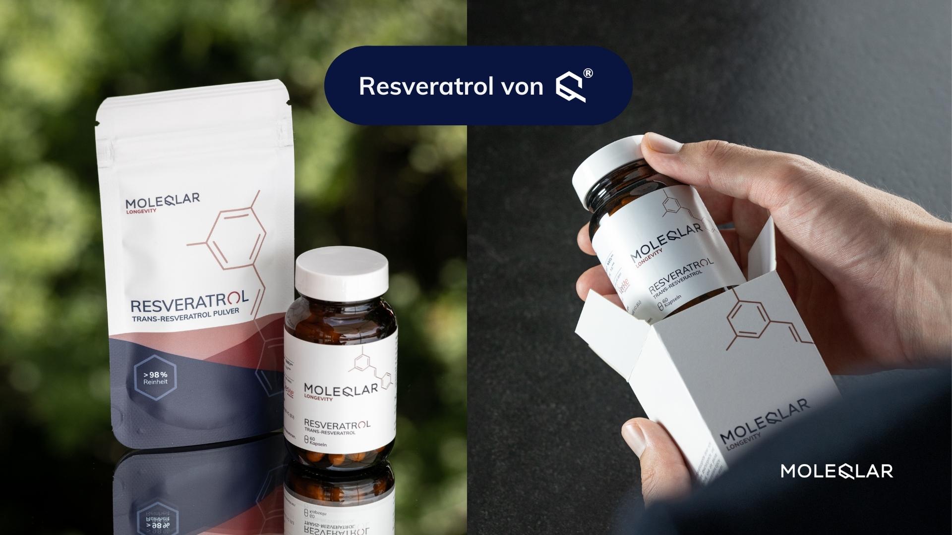 Resveratrol von MoleQlar in Kapsel- und Pulverform