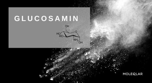 Was Ist Glucosaminsulfat