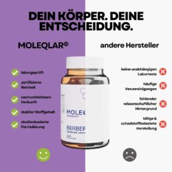 Berberin Chrom Zink Kapseln 2