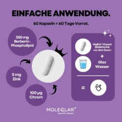 Berberin Chrom Zink Kapseln 4