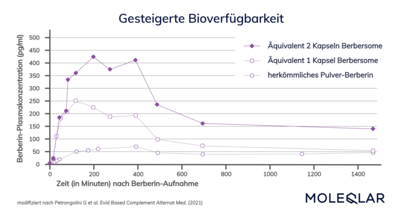 Berbersome Bioverfuegbarkeit Transparent
