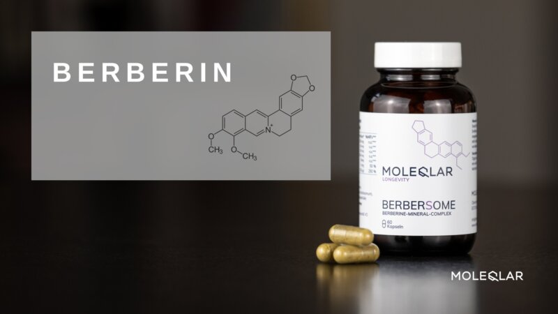 Berbersome - Was ist Berberin?