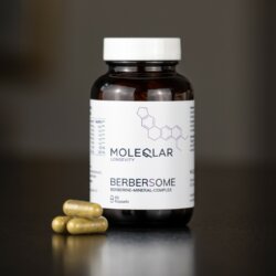 Berbersome Komplex Closeup