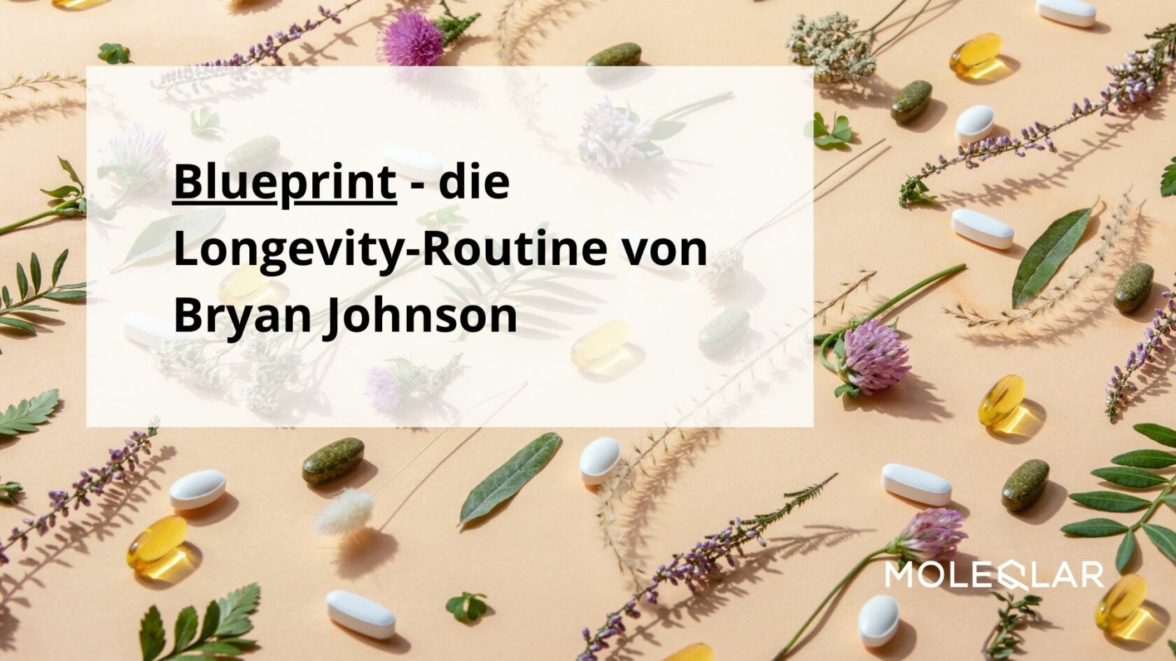 Blueprint Bryanjohnson Longevity Lifespan