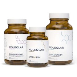 Fasten Bundle Moleqlar Berbersome Spermidin Glucosamin