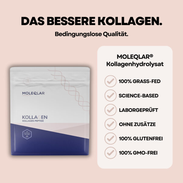 Kollagen Pulver Hydrolysat Peptide 2