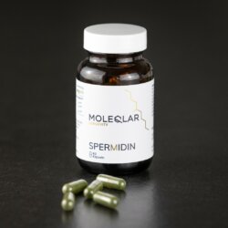 Spermidin Kapseln Closeup