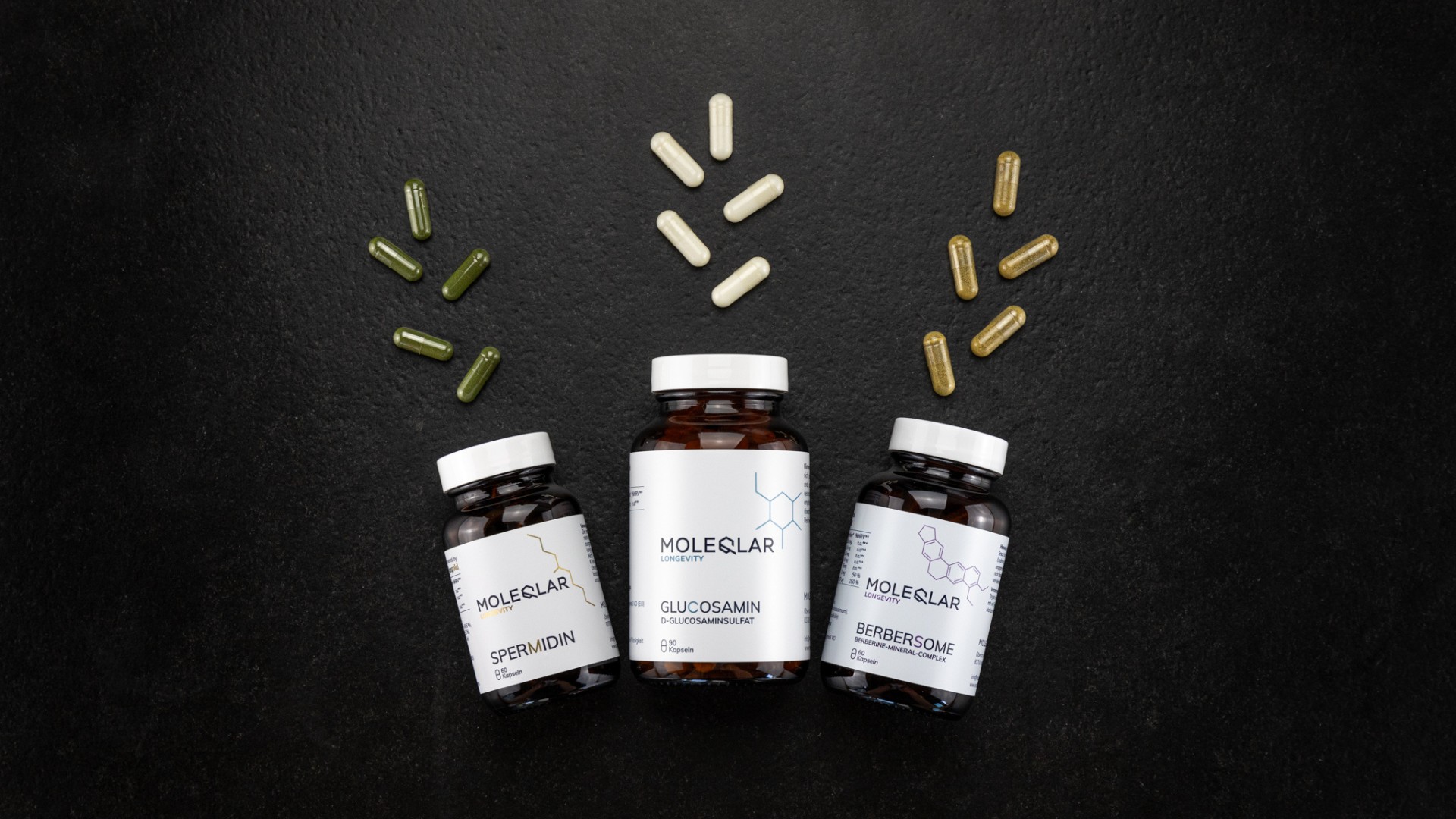 Fastenbundle Moleqlar Longevity