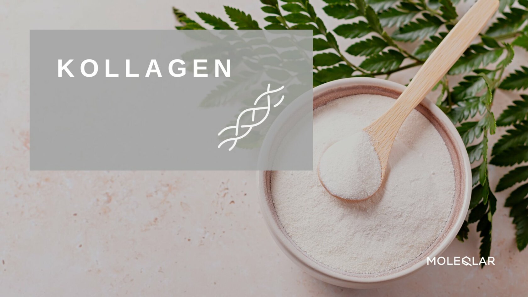 Kollagen Kollagenpeptide Moleqlar Supplement Kapseln