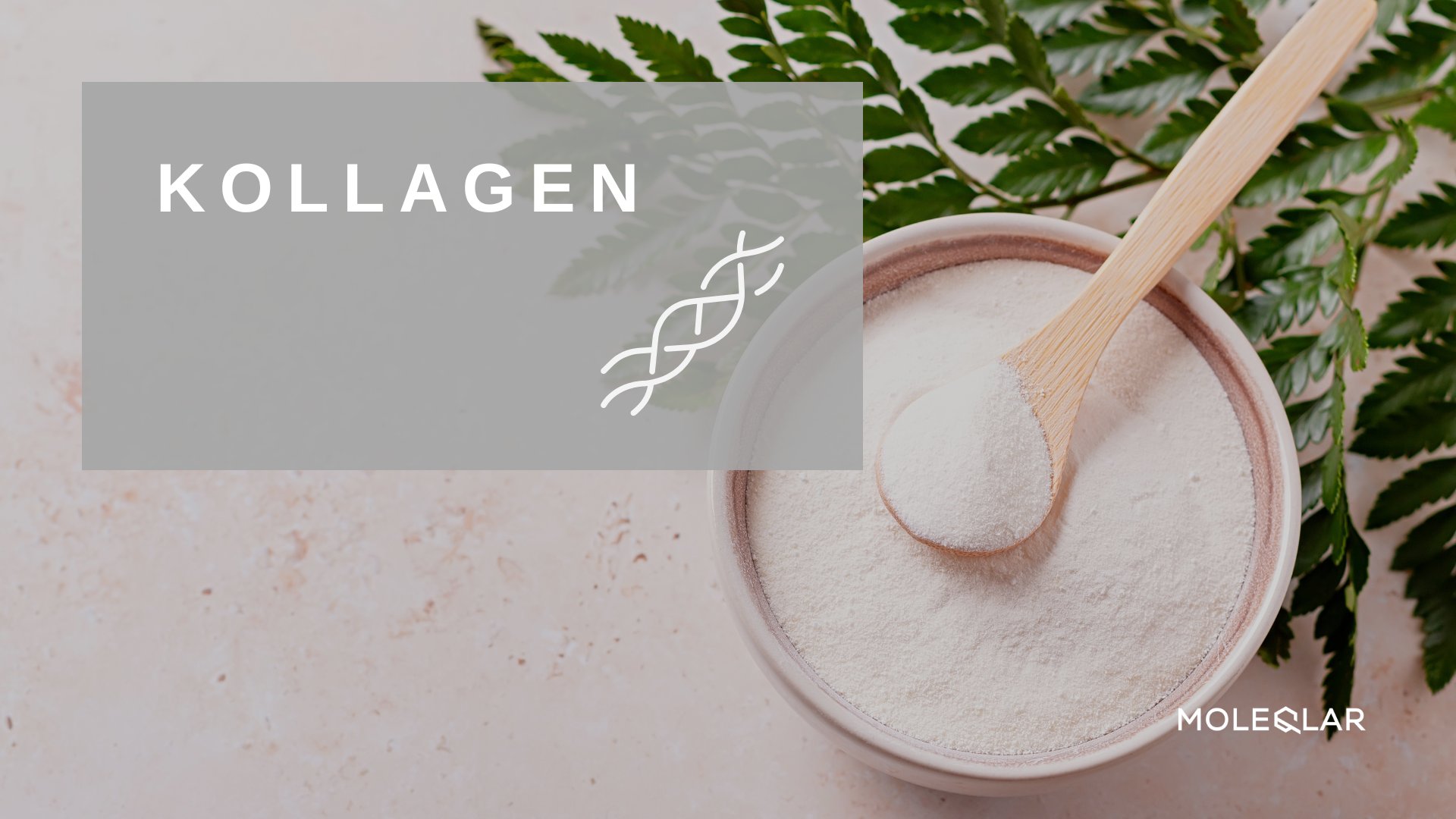 Kollagen Kollagenpeptide Moleqlar Supplement Kapseln