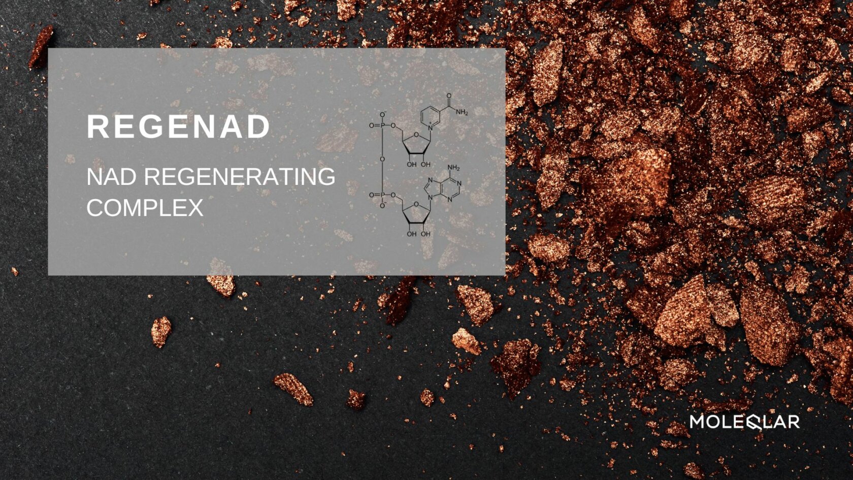 Regenad Nad Regenerating Complex