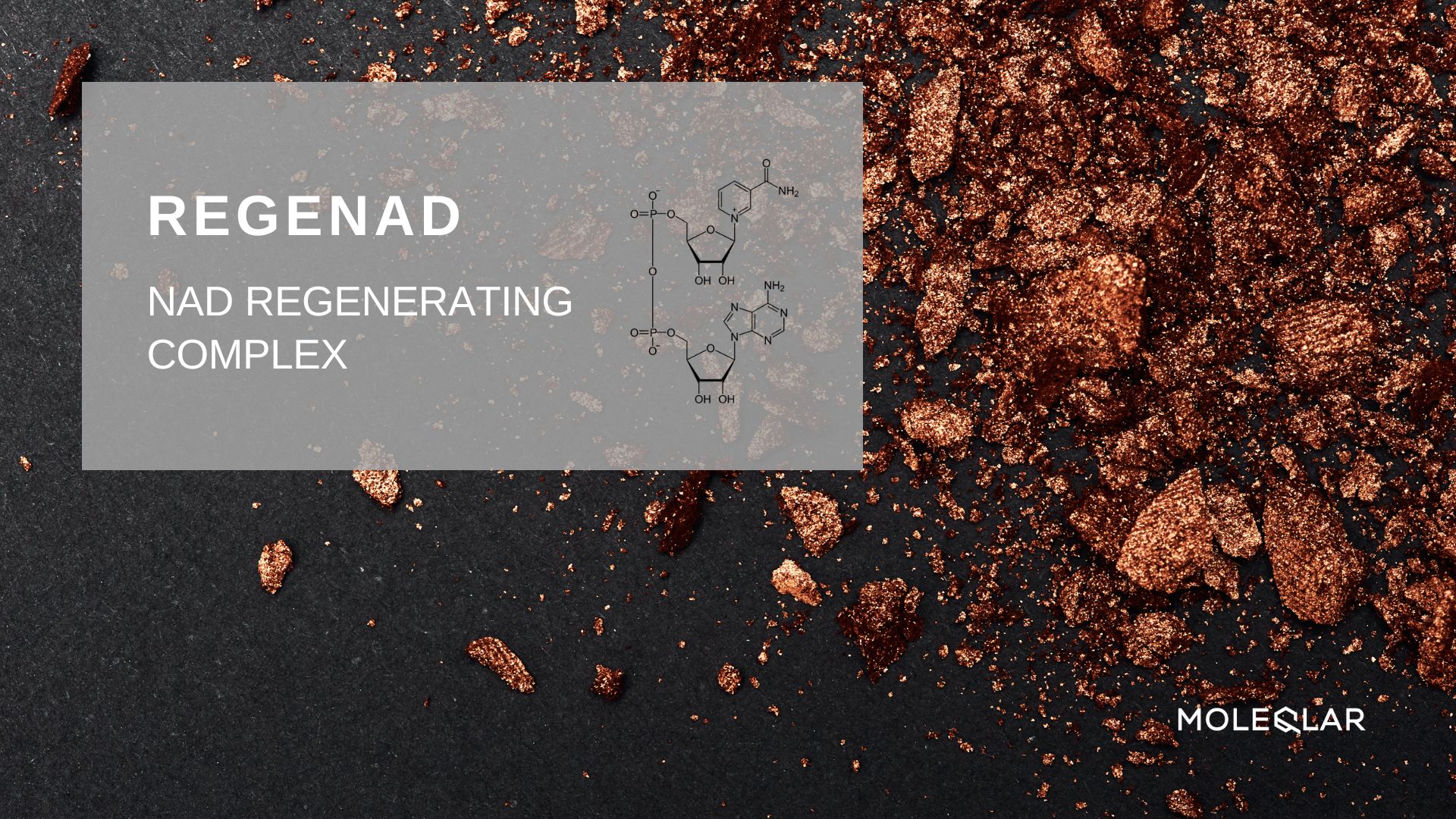 Regenad Nad Regenerating Complex