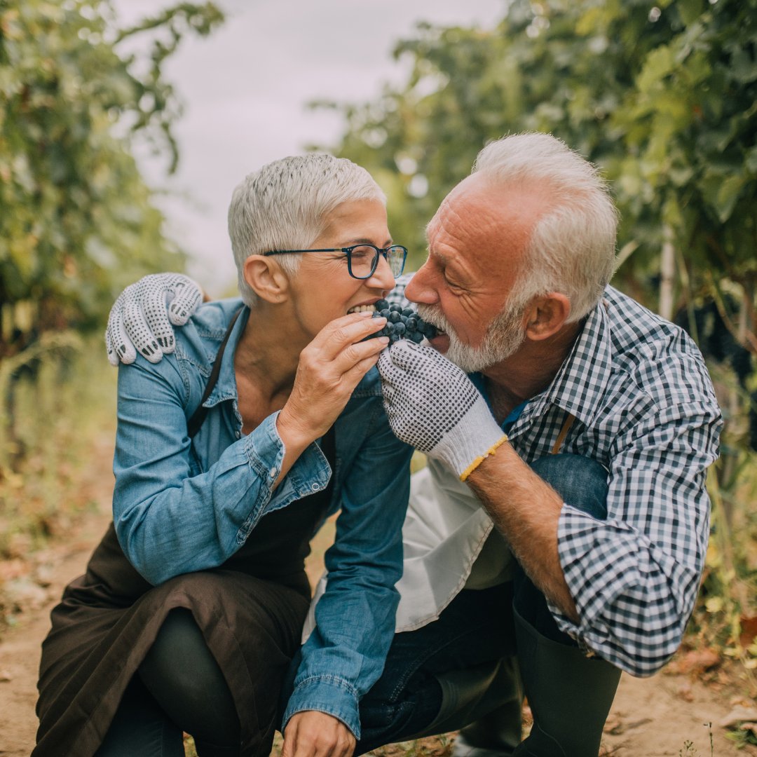 Resveratrol Trauben Sekundärepflanzenstoffe Polyphenol