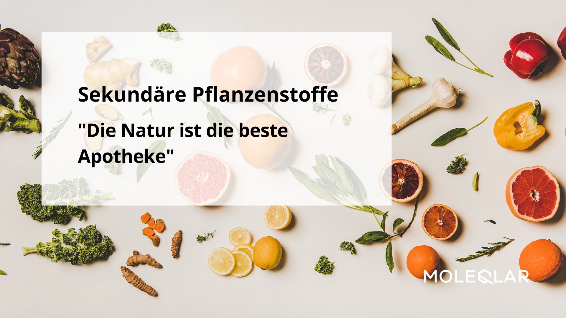 Sekundäre Pflanzenstoffe Polyphenole Flavonoide Resveratrol Quercetin