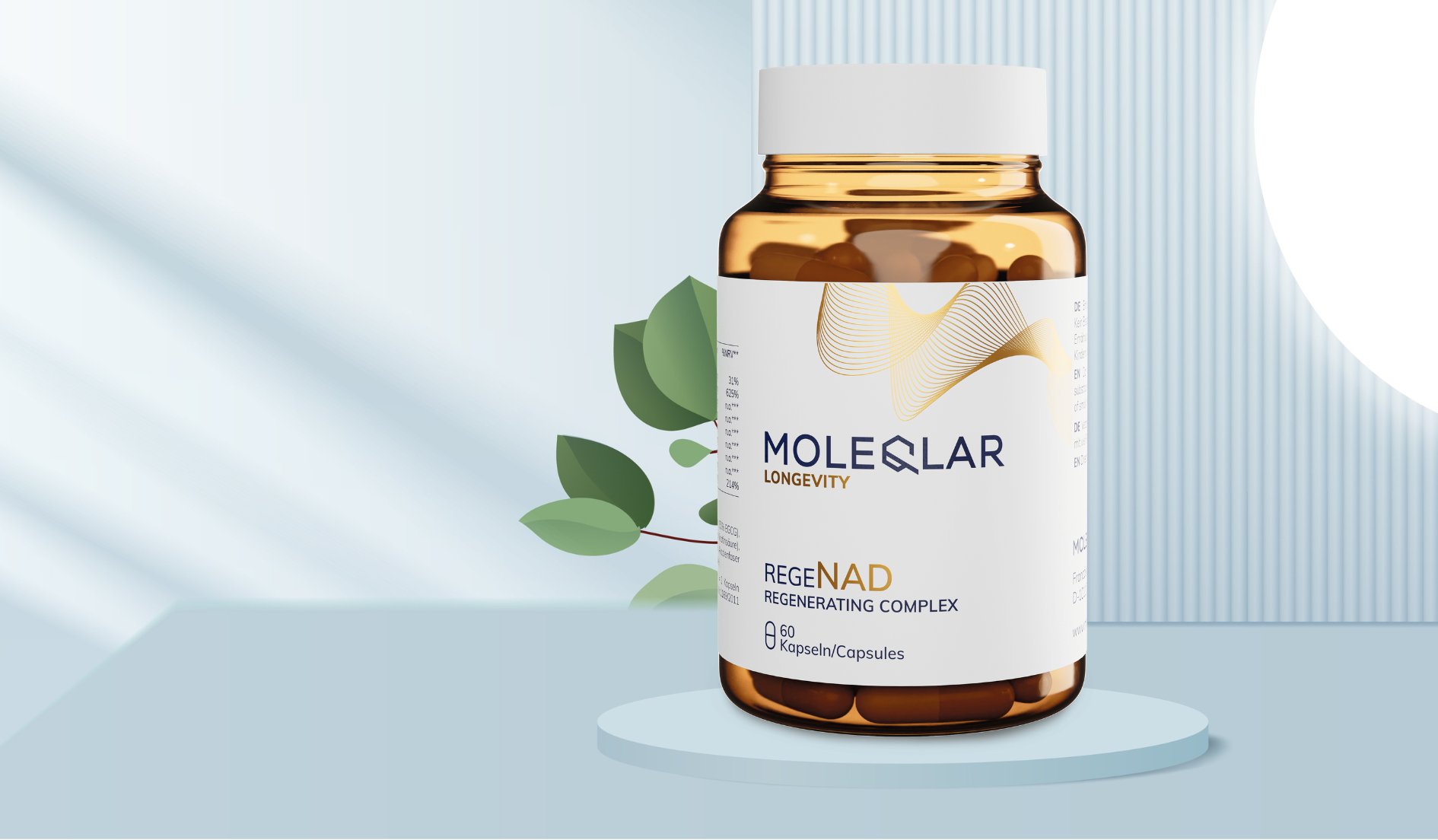 Regenad Nad Regenerating Complex Spotlight